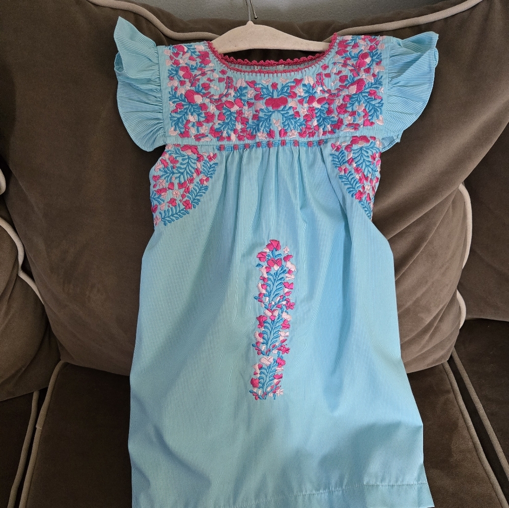 Six Honey Bees Blue and Pink Embroidered Kids Dress